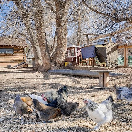 Cozy Parowan Studio 12 Mi To Brian Head Resort! 외부 사진