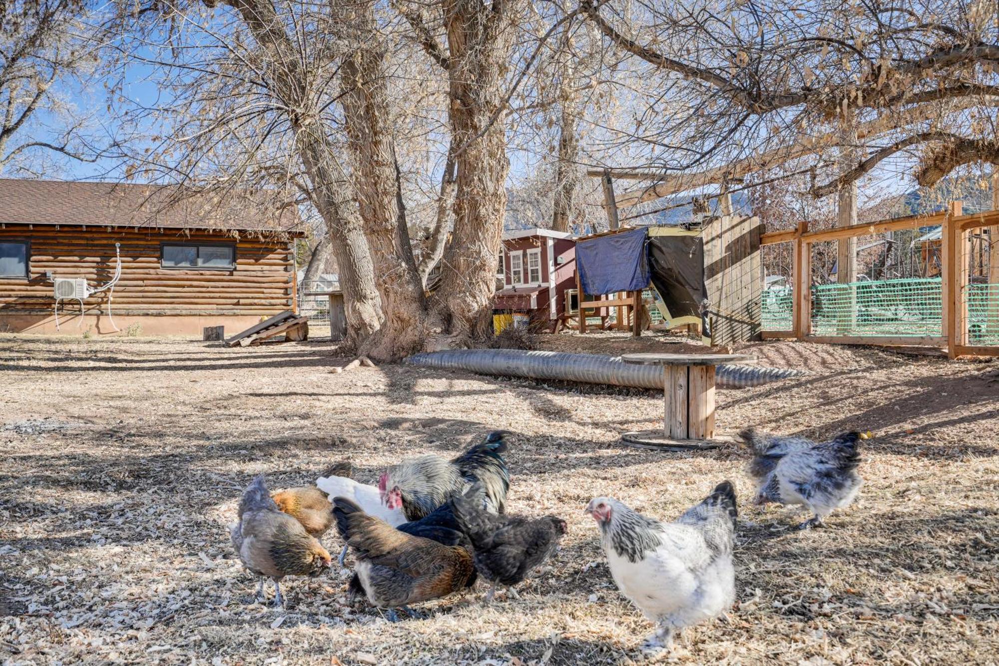 Cozy Parowan Studio 12 Mi To Brian Head Resort! 외부 사진
