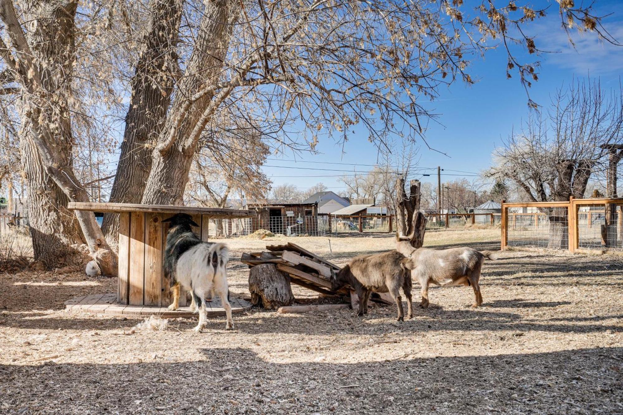 Cozy Parowan Studio 12 Mi To Brian Head Resort! 외부 사진